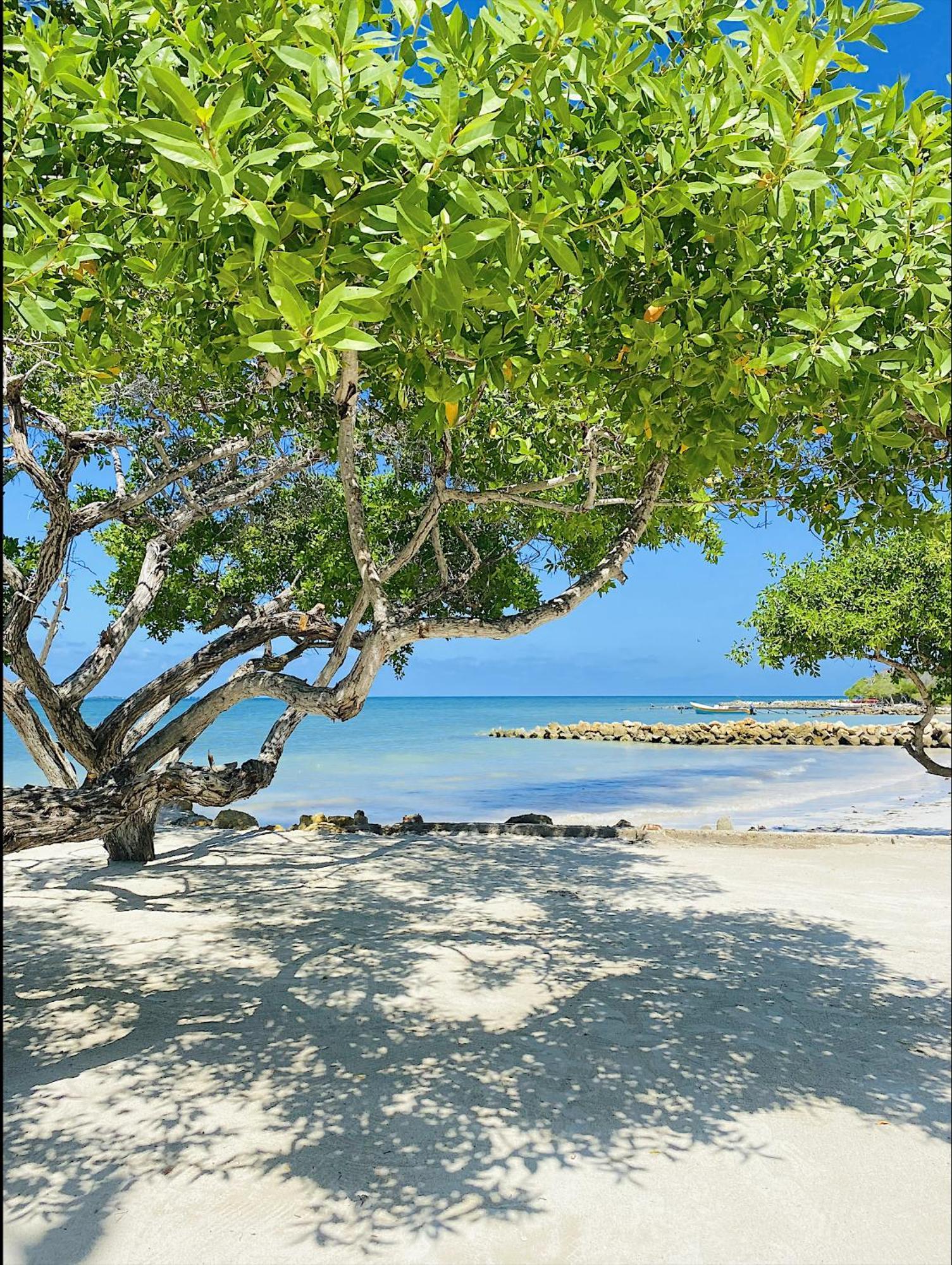 Carey Beach - Isla Barú Exterior foto