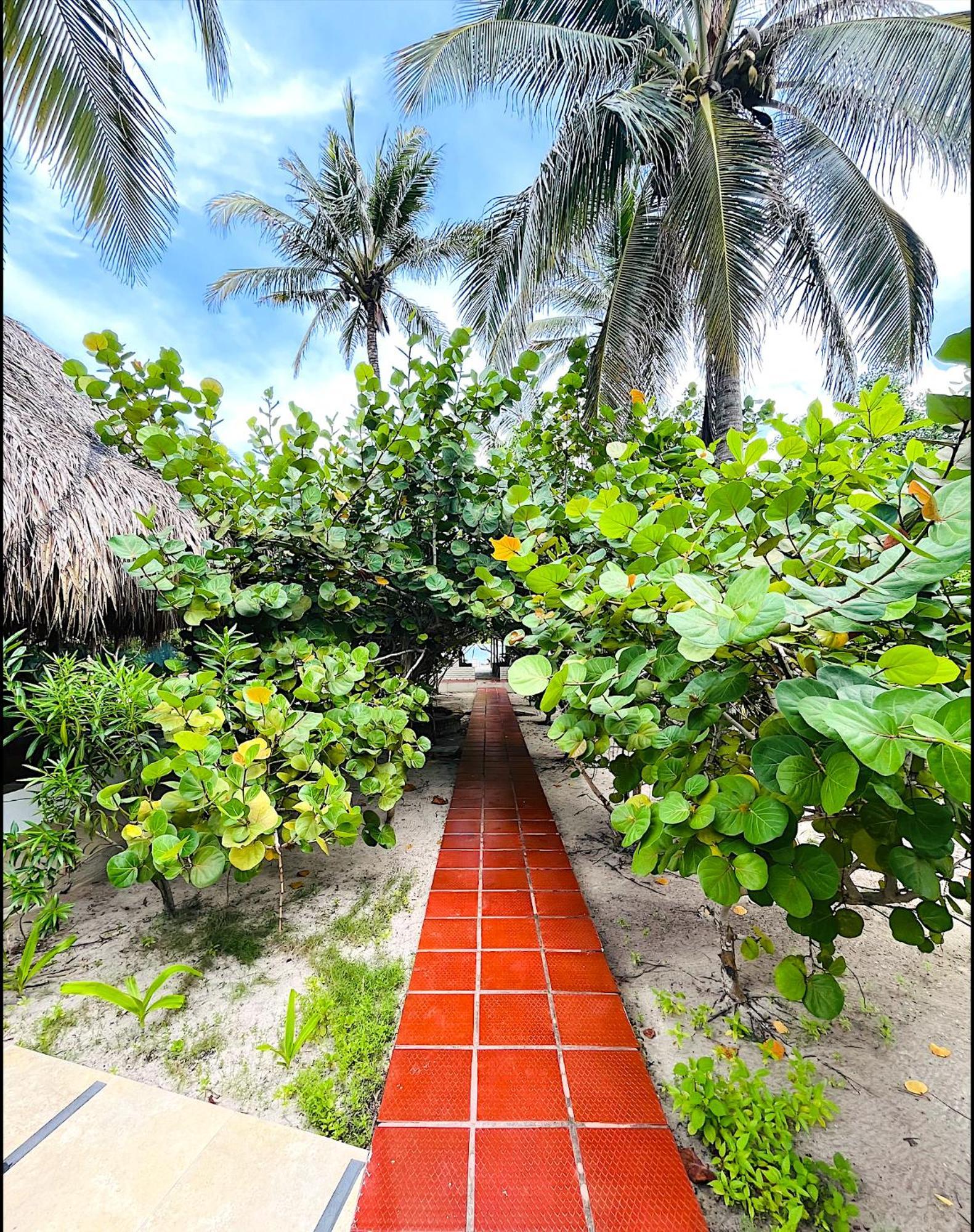 Carey Beach - Isla Barú Exterior foto
