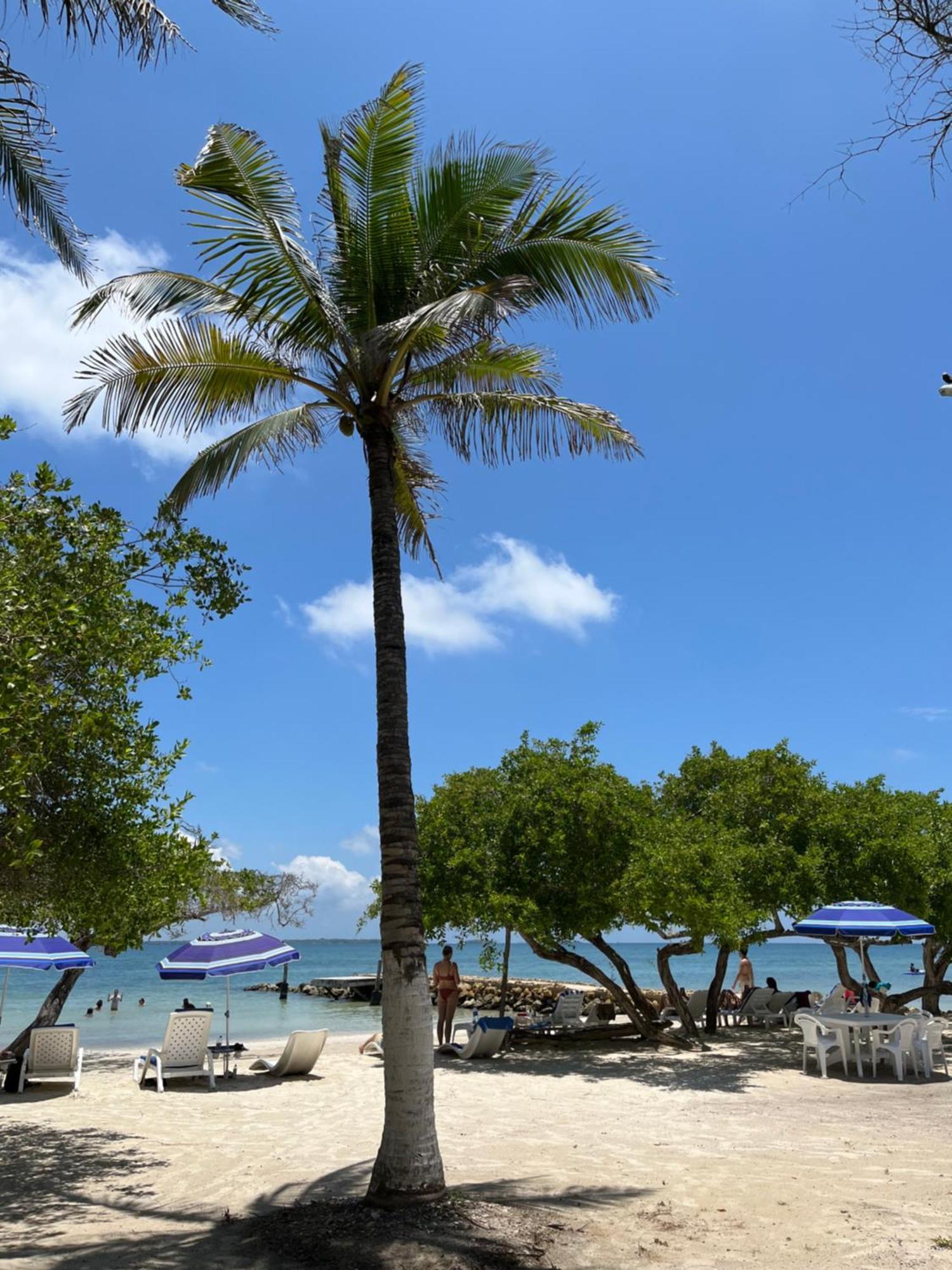 Carey Beach - Isla Barú Exterior foto